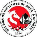 Photo of Big Brains Institute Of Arts & Sports