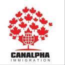 Can Alpha Immigration IELTS Training Centres institute in Noida