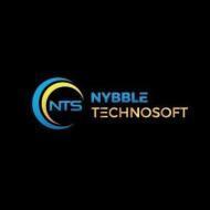 NTS Nybble Technosoft Computer Course institute in Hyderabad