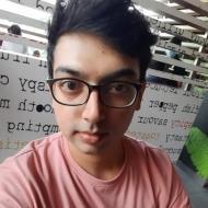 Peeyush Shukla Python trainer in Delhi