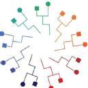 The Language Network photo