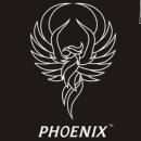 Phoenix Immigrations and Worldwide Education Services photo