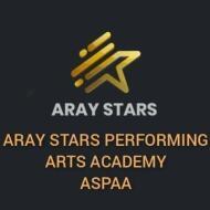 Aray Stars Performing Arts Academy Vocal Music institute in Mumbai