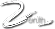 Zenith D. Dance institute in Delhi