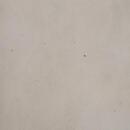 Sipai Sohil Hajibhai Tuition trainer in Wankaner