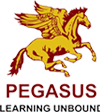 PEGASUS Entrepreneurship institute in Pune