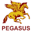 PEGASUS Entrepreneurship institute in Noida