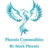 Phoenix Commodity Stock Market Trading institute in Chennai