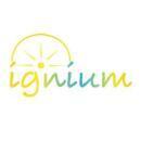 Samson Institute photo