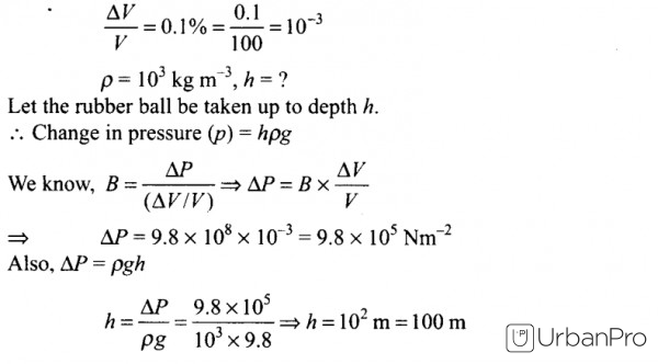 answer image