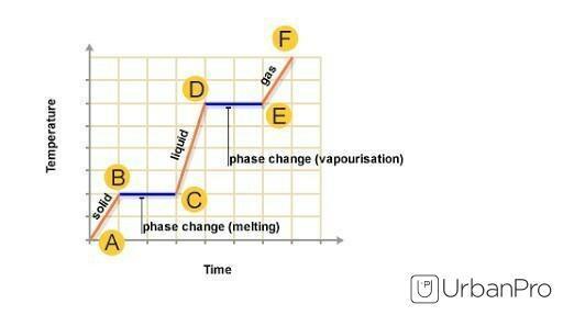 answer image
