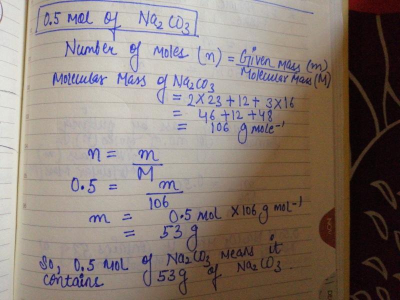 answer image