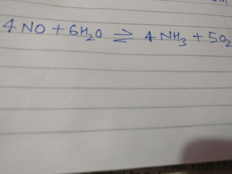 answer image
