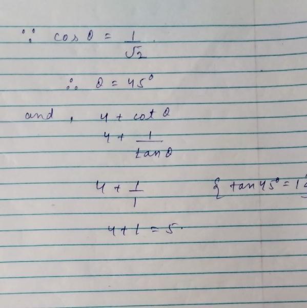 answer image