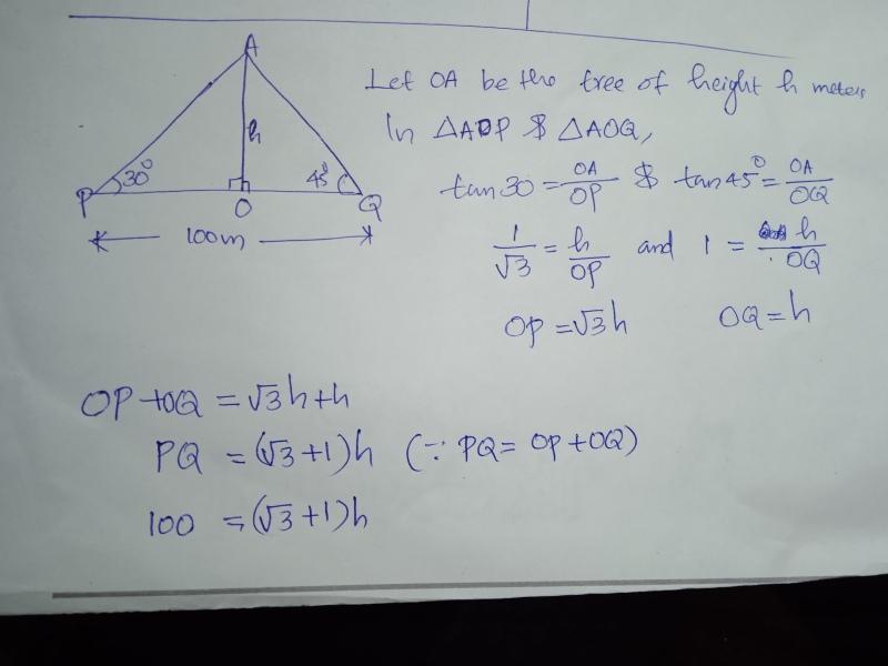 answer image
