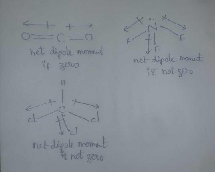 answer image